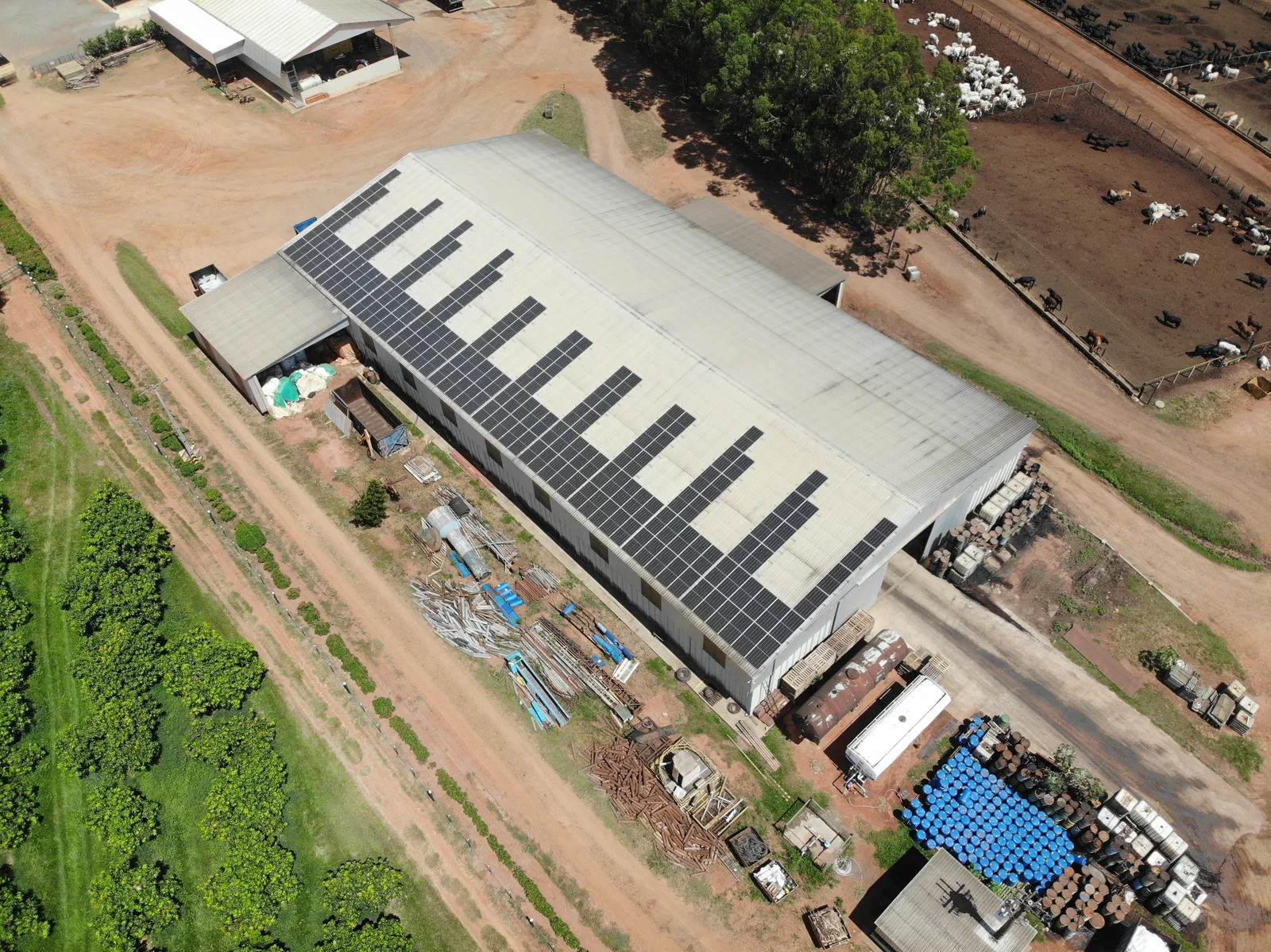 Soluções para Agronegócio Domotyk